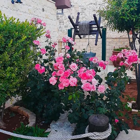 Traditional House * Lofou