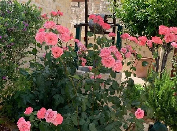 Traditional House Prázdninový dům Lofou