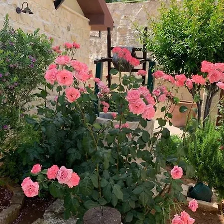 Traditional House בית נופש לופו