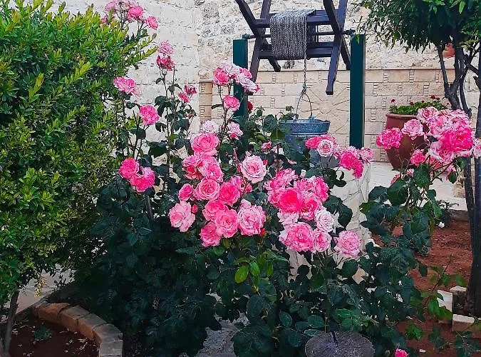 Traditional House * ロフウ